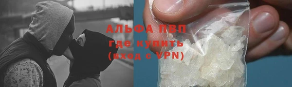 молекула духа Фёдоровский