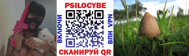 Псилоцибиновые грибы Psilocybe  Янаул 
